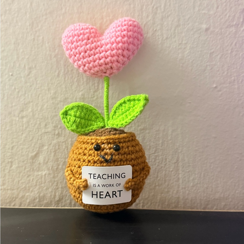 Handcrafted Pink Heart Crochet Plant Decor
